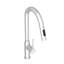 PlywoodPathfinder 259511062-8CDE Kitchen Faucet