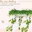 Treillis de jardin en bois blanc de 85 po pour la cérémonie, plantes grimpantes à structure extérieure, conception embellissant le jardin, cadre en bois massif, configuration simple des vignes, facilite le processus