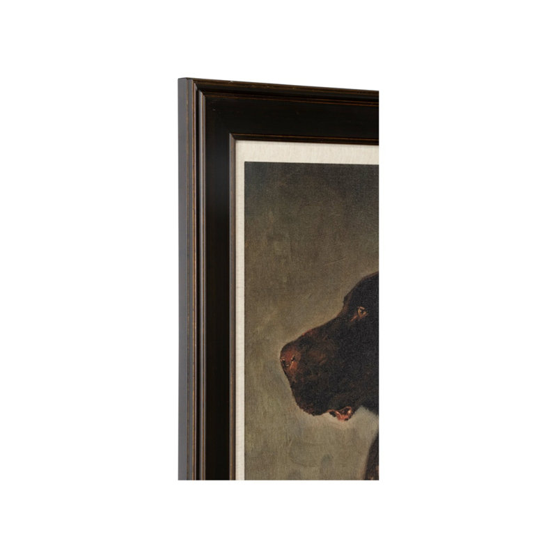 Hunting Dog