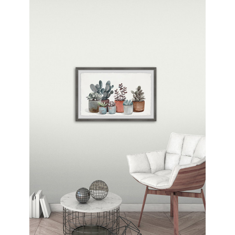 Succulent Plants Display by Parvez Taj - Single Picture Frame Painting, 41cm H x 61cm W