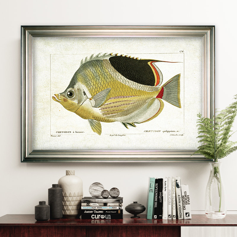 « fish sketch i », impression, Cadre argenté, H 30 po x l 42 po x P 2 po, Pas de tapis