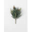 Frosted Arborvitae Bushes