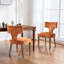 Ensemble de 2 chaises de salle à manger de style Mid-Century rembourrées en tissu chenille-505495894