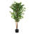Artificial Ficus Tree With Black Plastic Pot