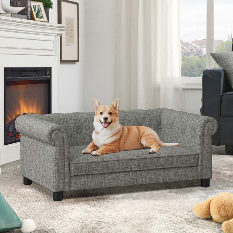 Lit rectangulaire pour petits et moyens chiens, canapé-lit surélevé durable, canapé confortable pour chien, Gris clair