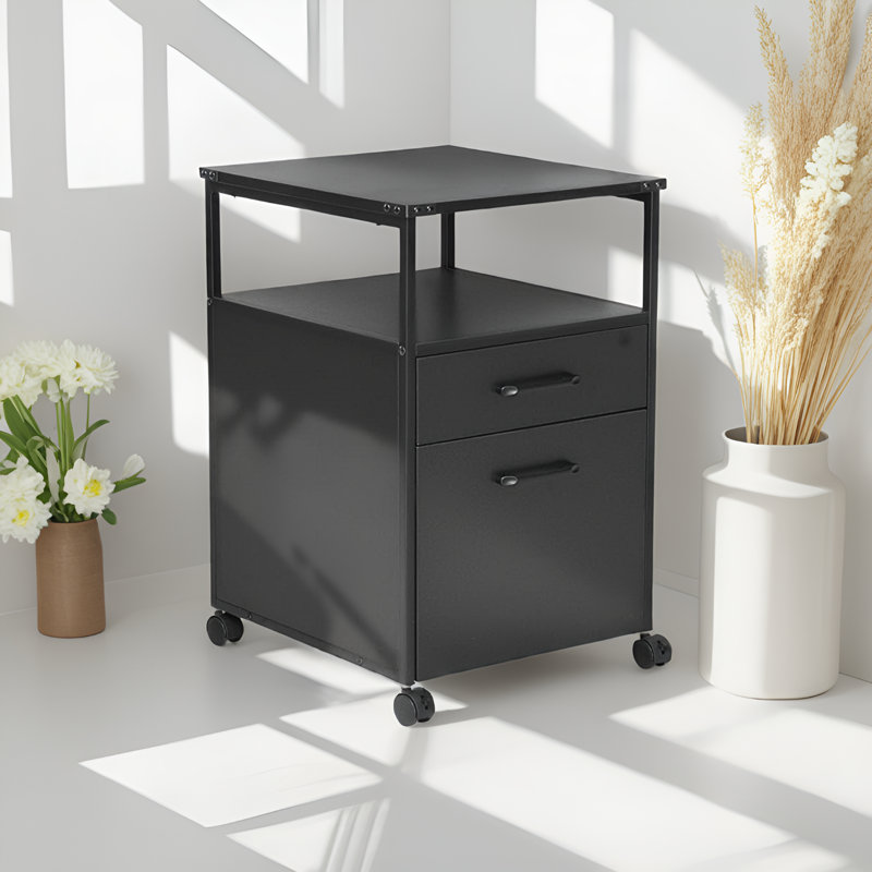 Orman 16.1'' Wide 2 -Drawer Mobile File Cabinet, Black