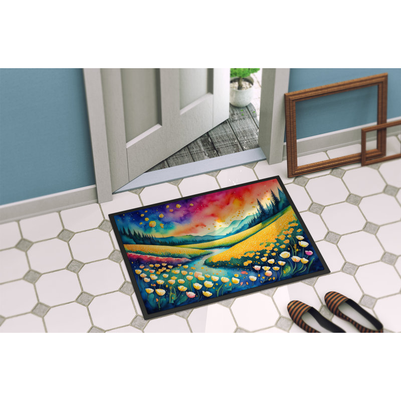 Osio Non-Slip Doormat, 24" W x 36" L