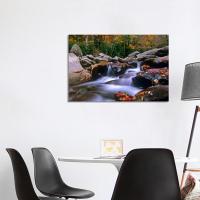 Little Pigeon River, Cascading Among Rocks And Fall Maple Leaves, Great Smoky Mountains National Park, Tennessee I by Tim Fitzharris - Wrapped Canvas Print