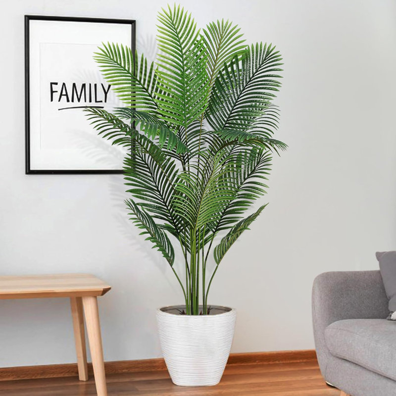 178cm Plant