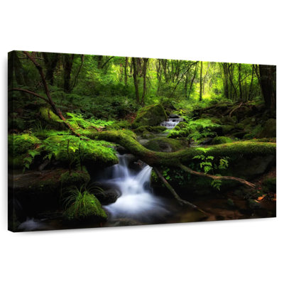 Alvord Sangdong Moss Valley
