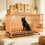 Cage pour chien 41,3 "à l'épreuve des fuites-49960489-49960494