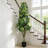 63"/5.2Ft Artificial Schefflera Umbrella Tree In Pot