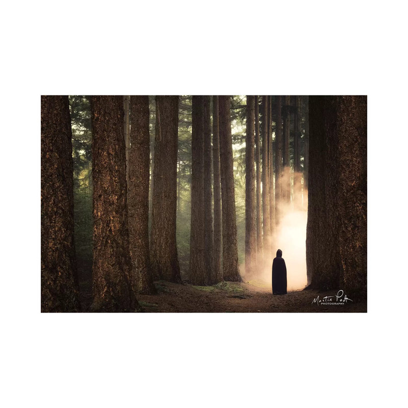Ruben II by Martin Podt - Wrapped Canvas Print, 66.04 cm H x 45.72 cm W x 1.91 cm D