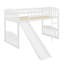 Lit mezzanine avec glissoire et échelle-2021743006