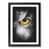 Black Framed