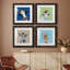 «Playful Nature», ensemble de 4 impressions sur toile encadrées-1525193664-1525193674