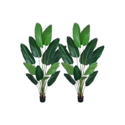 Set of two 71" Green Artificial Banana Leaf Tree in a Black Pot
