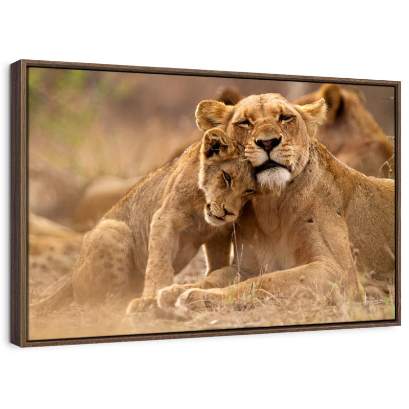Brampt Lioness And Cub, 29" H x 43" W