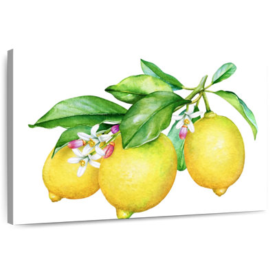 3 citrons et fleurs
