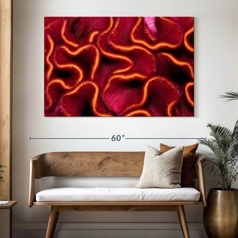Corail rouge Brampt, H 34 po x l 51 po