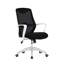 Mesh Office Chair-310394217