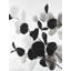 Branches en niveaux de gris avec feuilles | Imprimé mat blanc encadré