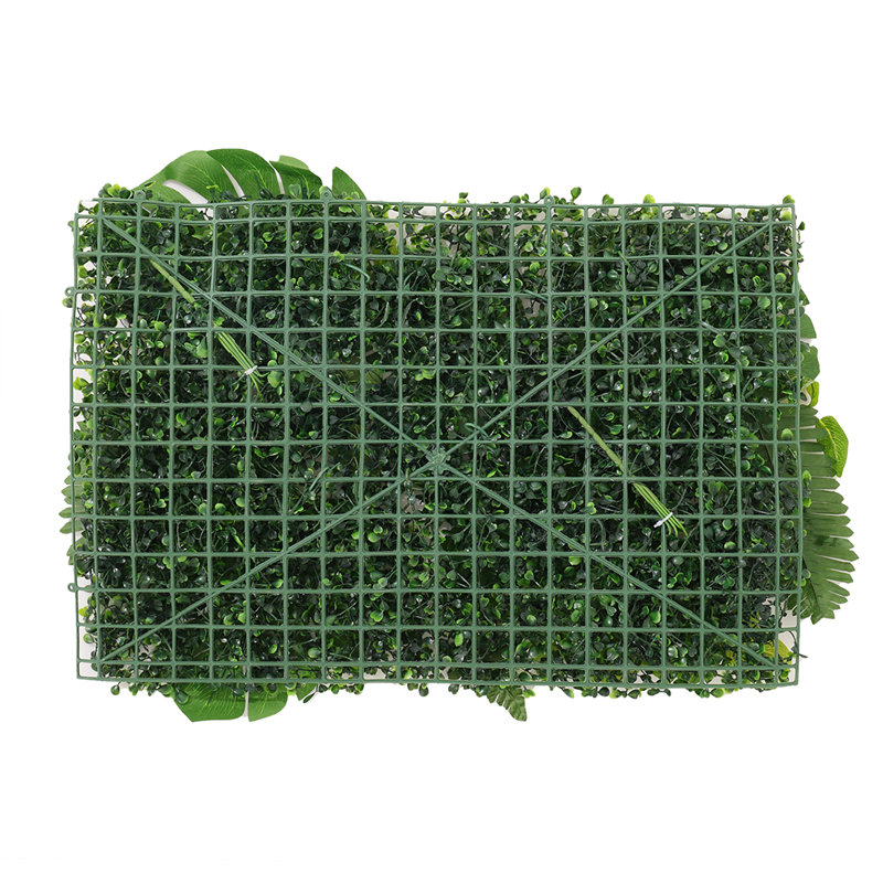60cm Plant