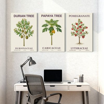 Plantes et fleurs, arbre de papaye, arbre de papaye, ensemble de 3 impressions sur toile
