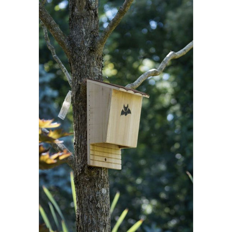Orm Mounted Bat House