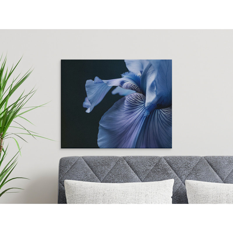 Schwarz Wrapped Canvas Print Set, 30x15