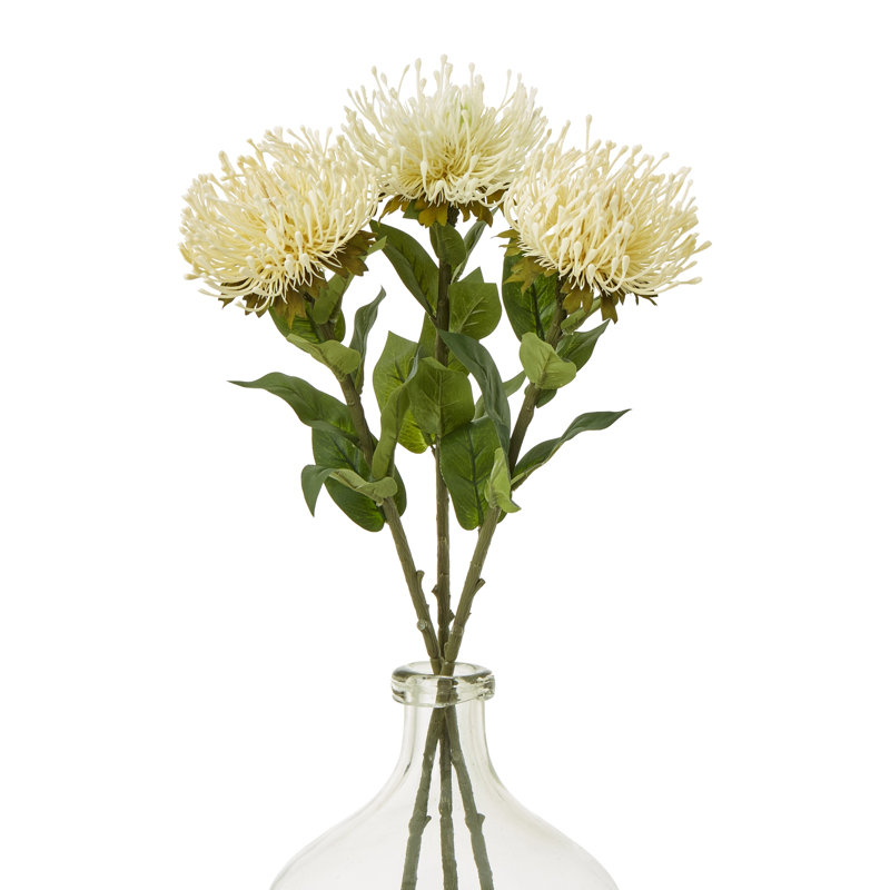 Arrangement, Cream