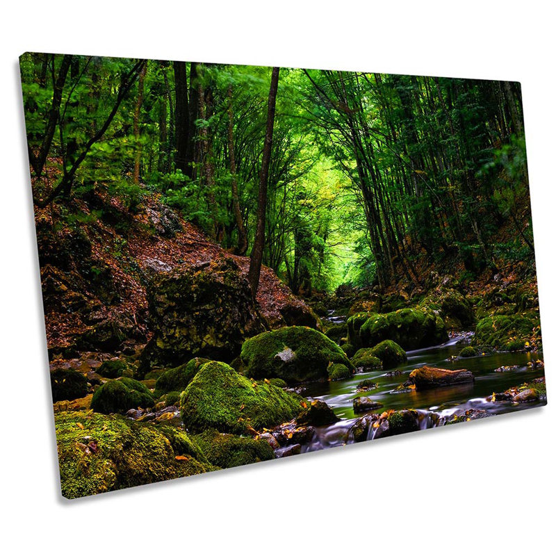 Forest Green Landscape River - Wrapped Canvas Print, 30.5cm H x 45.7cm W