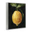 Art abstrait giclée au citron sur une vigne par Emma Caroline-1082170608-1082170621