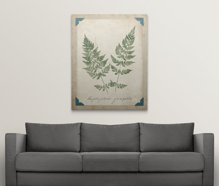 «Vintage Ferns VII», impression, H 48 po x l 38 po x P 1,5 po, Toile