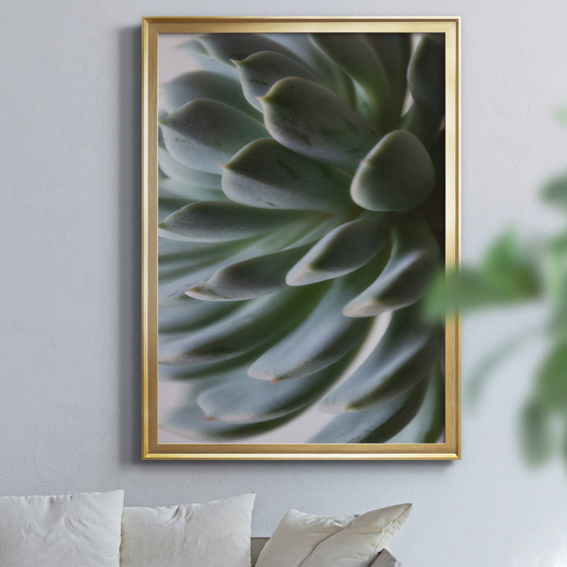 «Zen Succulent II» par J Paul, reproduction de photo sur toile encadrée, H 26,5 po x l 36,5 po x P 1,5 po, Doré