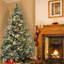 The Holiday Aisle® Carolina Pine Tree with Clear Lights-1245852289