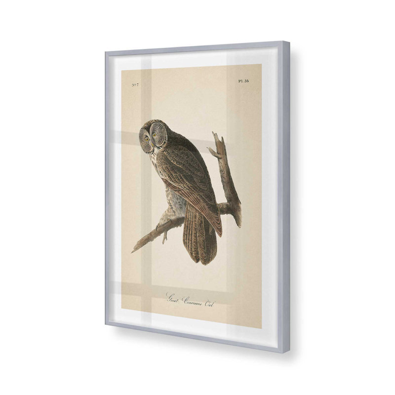 Impression d'un hibou perché dans un, H 11,25 po x l 9,25 po x P 1,25 po, Cadre en chrome poli