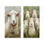 «Flock At Rest Sheep Portrait In The Grass I», art mural 2 panneaux-1707836246-1707836243