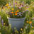 Anjelica Polyresin Large Round Outdoor Planter - 24" - Gray-1092639344-1092639356