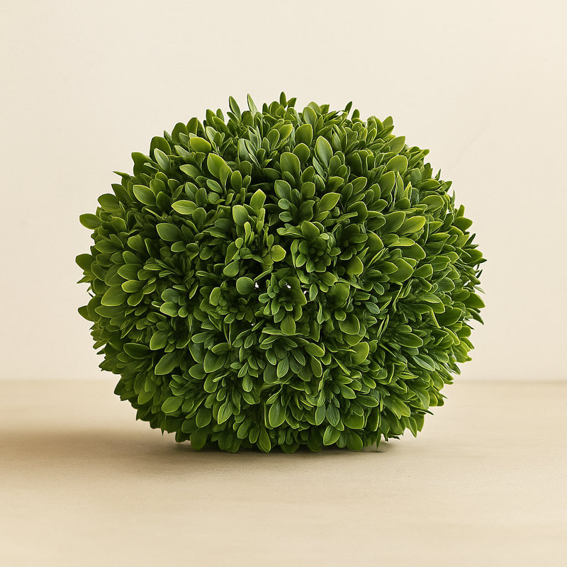 Boxwood Foliage Orb 13"D
