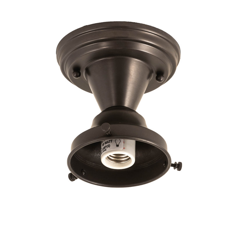 Mulkeytown 1 - Light Flush Mount