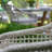 Akiva Patio Dining Armchair with Sunbrella Cushions