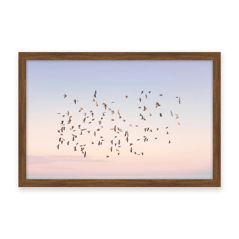 Nature Inspired Sunset Flight by  - Picture Frame Photograph on Paper, 16" H x 24" W x 1.125" D, Brown, Framed Print