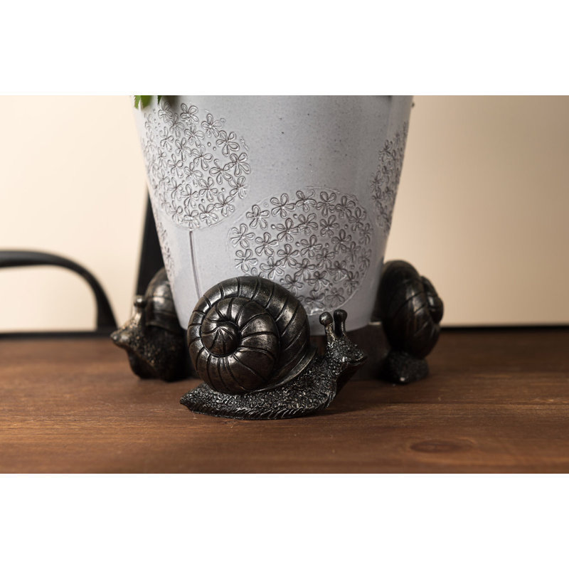 Pieds de jardinière couleur escargot bronze dans une boîte cadeau
