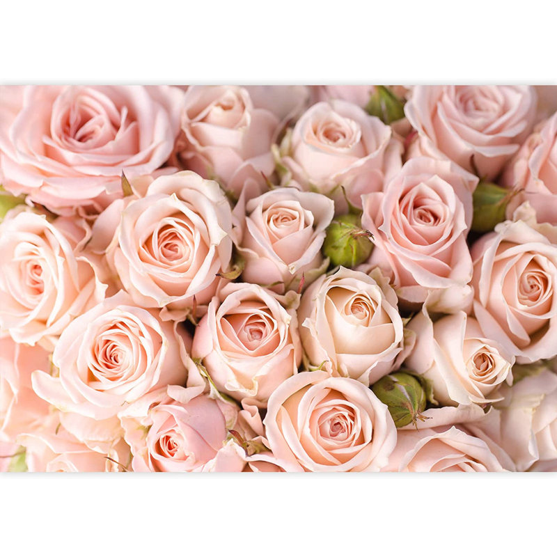 Elegant Rose Flower Floral M22, 100" L x 144" W