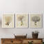 «Tincture I», ensemble de 3 peintures sur toile encadrées-202997363-202997372