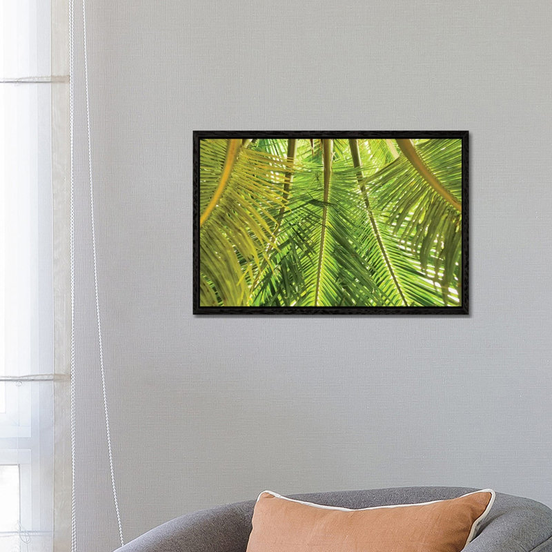 Green Palm Fronds by Mark Paulda - Print on Canvas, 45.72cm H x 66.04cm W x 3.81cm D, Black Floater Framed