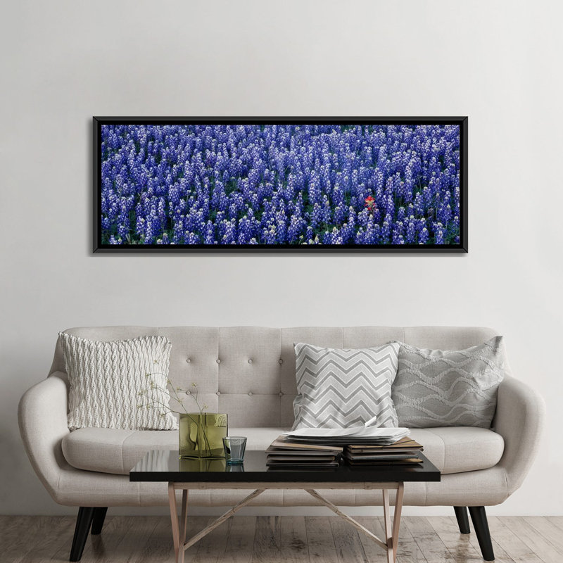 «Bluebonnet» panoramique dans un champ, Hill County, Texas, reproduction de photo sur toile, H 24 po x l 72 po x P 1,5 po
