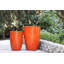 Planter-1918010032-1918010037