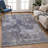 Machine Washable Indoor/Outdoor Chantille ACN2361 Casual Rug-1436770560